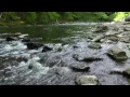 Wissahickon Moods Trailer