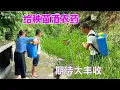 Download Lagu 我们家一年的口粮差不多就靠这块田，种好这块地，也是我能给家里最大的帮助，除虫也是重要的一环