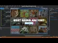 Visual Basic NET - What animal are you Tutorial Part 4