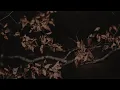 Download Lagu a playlist for a moody autumn (dark academia)