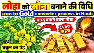 लोहा को सोना बनाने वाला पारद बनाने वाला पौधा iron to Gold convert process in Hindi #लोहाकोसोनाबनाना