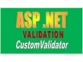 How to Validate Input using Custom Validator in ASP NET