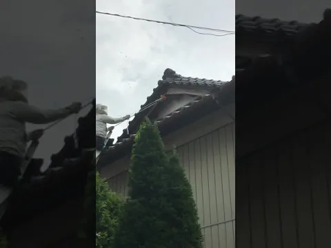【害虫防除専門店にお任せ下さい】損害保険加入済◉命をかけて作業させていただきます