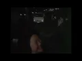 チューリップ 「心の旅」