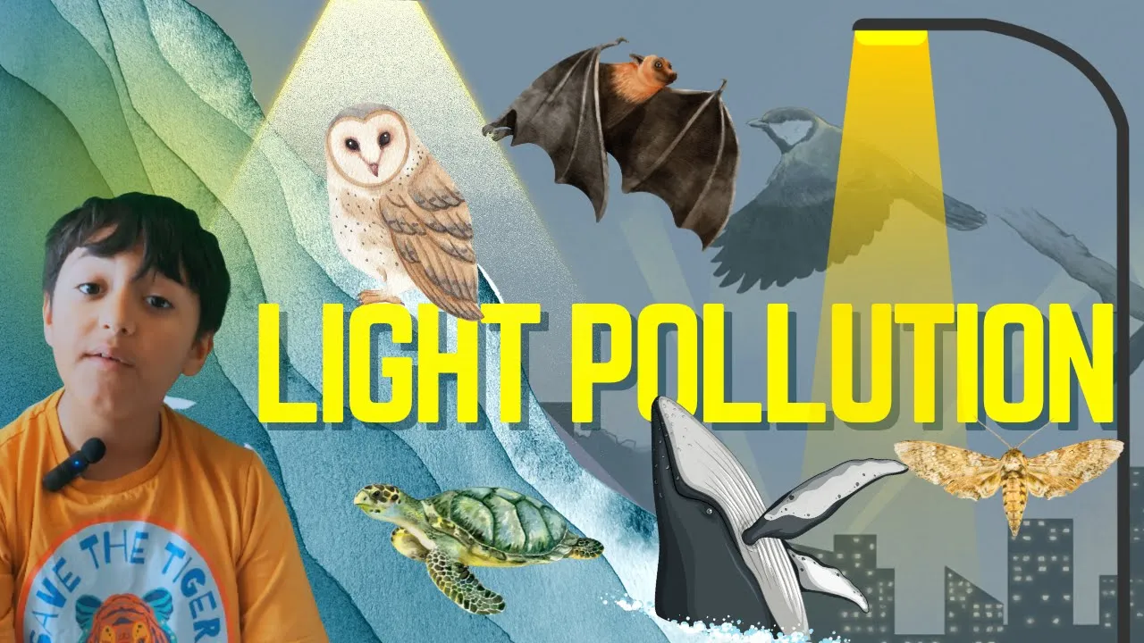 The Dark Side of Light: How Light Pollution threatens wildlife!