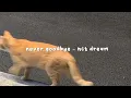 Download Lagu never goodbye - nct dream (speed up)