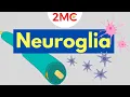 Neuroglia Structure and Function Glial Cells of the CNS PNS