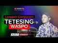🔴 Coba dengar langgam ini ! lalu apa yang kalian rasakan? - Tetesing Waspo - cover Krisna Riswanto
