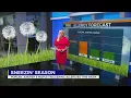 TN Allergy Forecast Tree pollen taking over and enhancing allergies