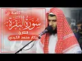Download Lagu سورة البقرة ( كاملة ) للقارئ رزكار محمد الكردي | Rizgar Kurdy surah albaqara