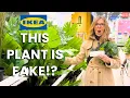 The BEST Real Faux Plants at IKEA Styling Greenery For Your Home Jane Lockhart Design