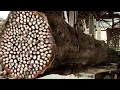 Kengerian Memotong Kayu yang Sangat Panjang di Tempat Penggergajian Kayu