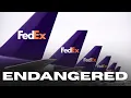 Why FedEx Is Hoarding These Jets Before Boeing Stops Making Them