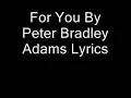 Peter Bradley Adams- For You Lyrics Video