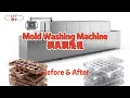 Chocolate mold washer