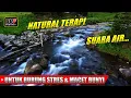 Download Lagu Natural Terapi Air Untuk Burung Stres dan Macet Bunyi