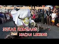 Download Lagu SENI BANTENGAN SEKAR KOMBANG FEAT MACAN LORENG||LIVE JETIS MULYOAGUNG-DAU