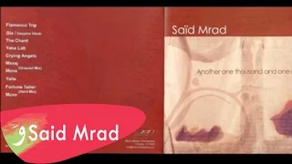 Download DJ Said Mrad - 07  Move Oriental Mix MP3