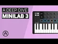 The complete guide to ARTURIA MINILAB MK3 Tutorial