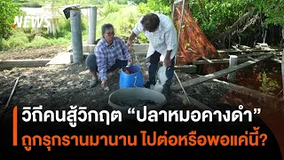 วิถีชีวิตคนสู้วิกฤต "ปลาหมอคางดำ" ไปต่อหรือพอแค่นี้? | Thai PBS News