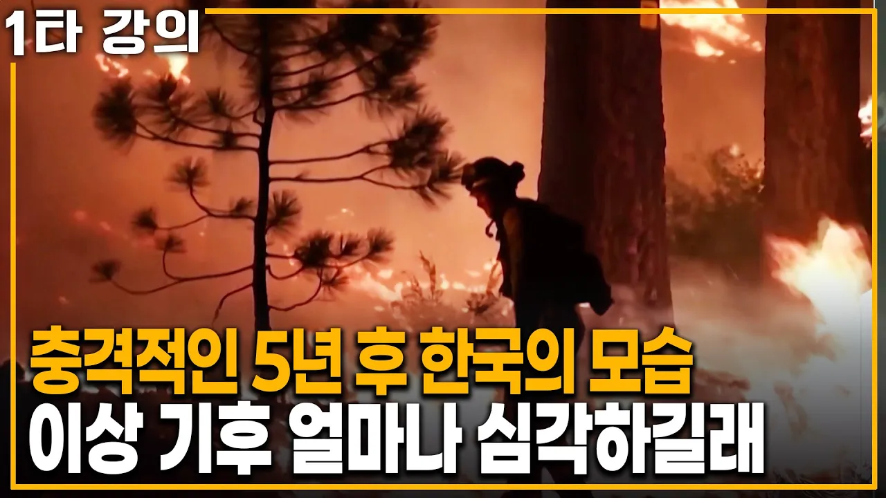 "와..이게 진짜 5년 뒤 미래라고?" 진짜 심각하다는 이상 기후 현 상황 | KBS 20231015 방송