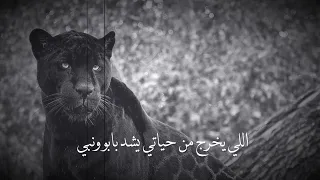 يلا ندي للي باعنا بوسه عصام صاصا دندنها