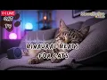 Download Lagu 😽 door dierenartsen goedgekeurde kattenmuziek live-zie ze nu ontspannen