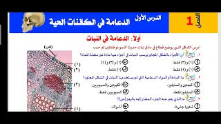 1 حل بعض اسئلة الدعامة من كتاب اكتشف الفائز ا محمد الرفاعى ذكى 