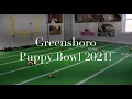 Puppy Bowl 2021 Greensboro NC Country Kennel Best Friends Bed Biscuit