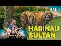Santri Lihat Harimau di Samping Sultan - Sultan Aji EPS 4 PART 1 (12/9)