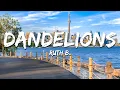Download Lagu Ruth B. - Dandelions (Lyrics)