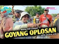 Lagu GOYANG OPLOSAN || WINDA DWI LESTARI || ANDI PUTRA ONE || KASMARAN BLOK KUBURAN WIDASARI