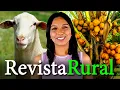 Lagu PROGRAMA REVISTA RURAL - 30/11/2025