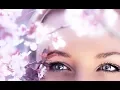 Download Lagu SAKURA / Uplifting Mix / Melodic Progressive House \u0026 Trance Music
