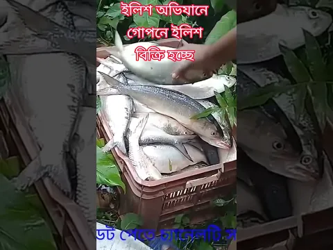 #viralvideo #viralnews #shorts #reels #foryou #shortsfeed