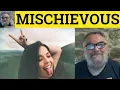 Mischievous Meaning - Mischief Defined