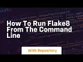 How to run flake8 from the command line