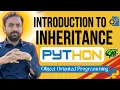 Lec-54 Inheritance in object oriented programming oop in python python full course