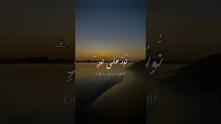 نور على نور شريف مصطفى 