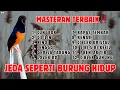 Download Lagu 🔴 SADIS GACOR‼️MASTERAN MURAI BATU JEDA SEPERTI BURUNG HIDUP