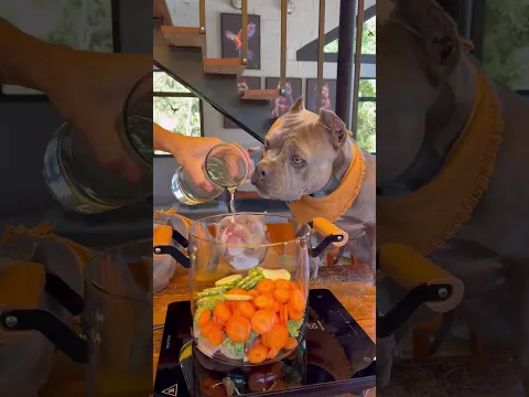 soy el frutero más guapo de las fruterias? #viral #perros #perrofeliz #dúo