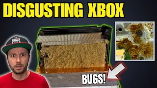 I Bought a DISGUSTING Bug Infested Broken Xbox & I'm Determined to Fix It!