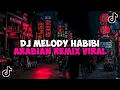 Download Lagu DJ MELODY HABIBI ARABIAN REMIX JEDAG JEDUG MENGKANE VIRAL TIKTOK DJ ARAB