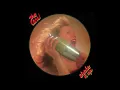Download Lagu the CARS:   SHAKE IT UP    LP    1981 Vintage vinyl full album￼