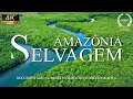 Lagu AMAZÔNIA SELVAGEM | Os Segredos Incríveis da Maior Floresta do Mundo | Documentário Completo