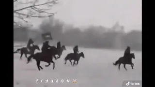 مشهد نادر مهيب لمجاهدين سعوديين في ارض الشيشان مشهد نادر مهيب لمجاهدين سعوديين في ارض الشيشان