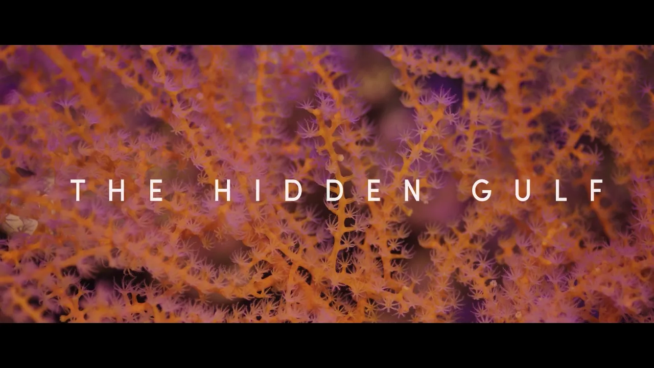 The Hidden Gulf