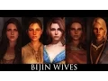 TES V - Skyrim Mods Bijin Wives