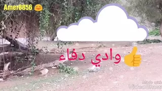 شيله مع سيل وادي دفاء 