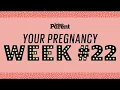 Your pregnancy 22 weeks